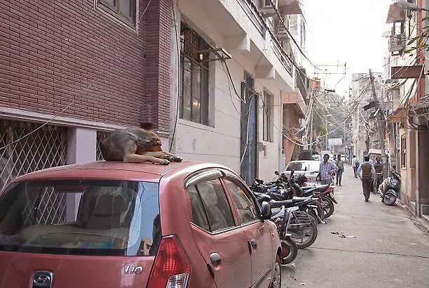 Balaji Atithi Ashray Hotell Varanasi Indien